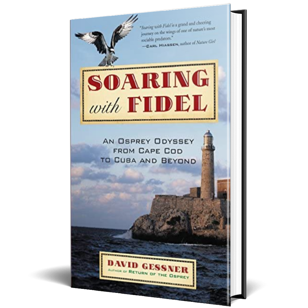 Soaring With Fidel - David Gessner