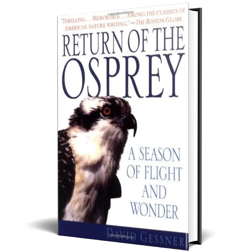 Return Of The Osprey - David Gessner