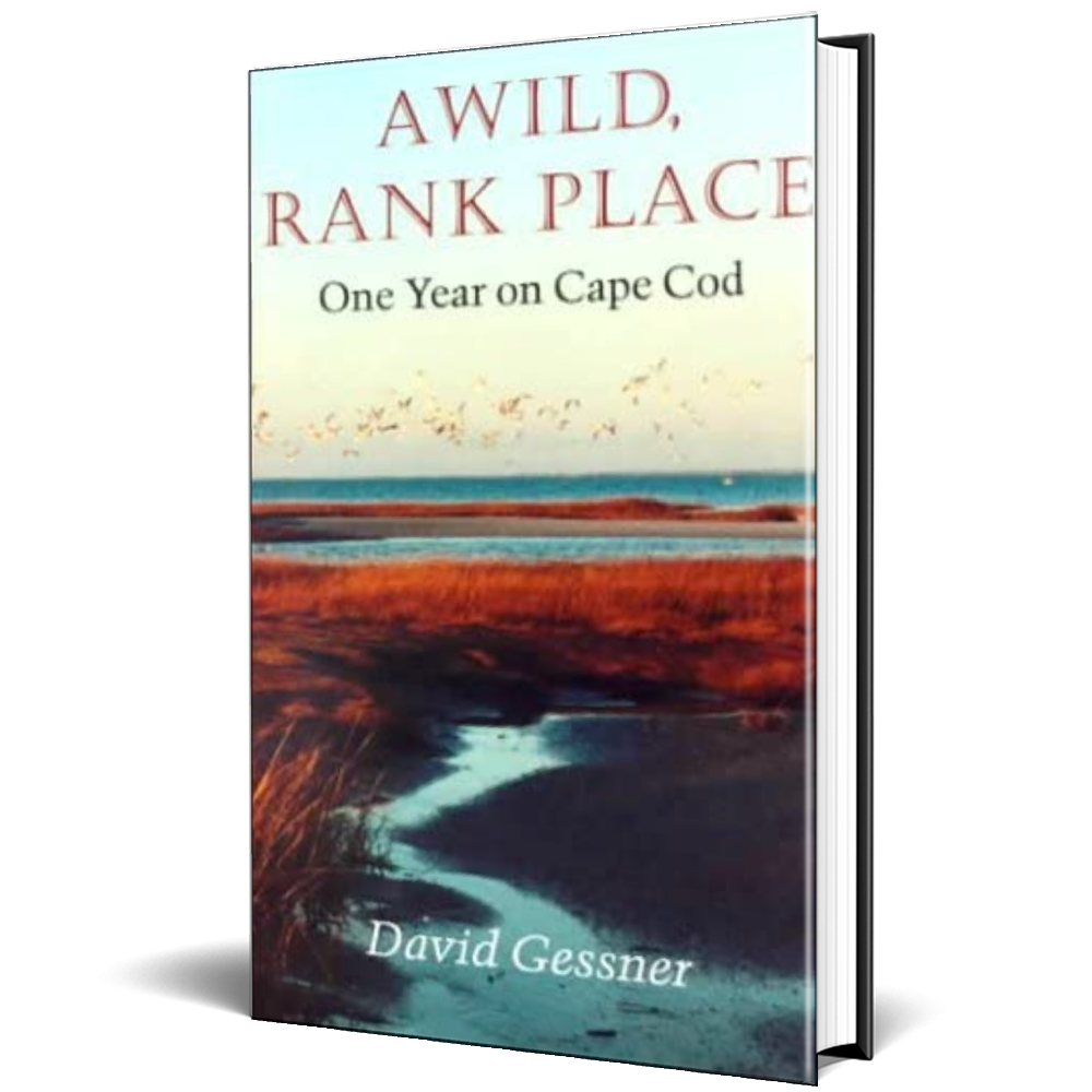 A Wild, Rank Place - David Gessner