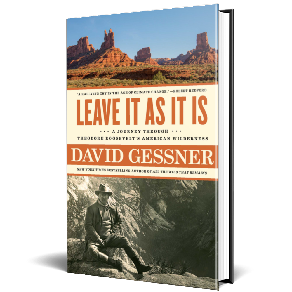 Leave It As It Is - David Gessner