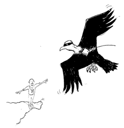 Return Of The Osprey - David Gessner